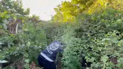 Arnavutköy ormanında dronlu kenevir operasyonu