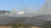 Balıkesir Manyas’ta orman yangını söndürüldü