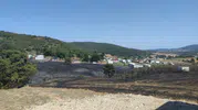 Tarladan Ormana Sıçrayan Yangına 1 Saatte Müdahale