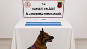 Kayseri jandarmasından zehir tacirlerine ağır darbe