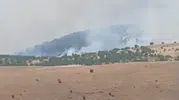 Pütürge’de orman yangını paniği
