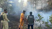 Bolu Göynük ormanlarında yangın paniği