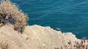Trilye kıyısında toprak kayması tatilcileri korkuttu
