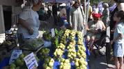İzmir'de incir şöleni Bardacık üreticisiyle buluştu
