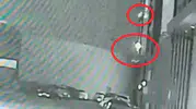 Diyarbakır'daki plaza yangınının altından ihmal çıktı: Bir köz parçası faciaya davetiye çıkardı