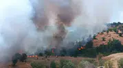 Pütürge yangınına havadan ve karadan müdahale ile kontrol geldi