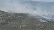 Balıkesir Altıeylül'de ormanlık alanda yangın başladı