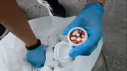 Niğde polisinden sokaklara geçit yok