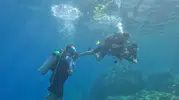 Marmaris’te su altı keşfi Turistler için yeni rota
