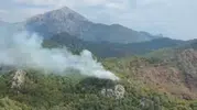Alevler alarm verdi: Ekipler yangını söndürmek için seferber oldu