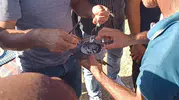 Toroslar’da şahin tuzağına düşen güvercin kurtarıldı