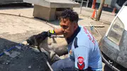 İslahiye’de konteyner altında kalan anne köpek ve 7 yavrusu kurtarıldı