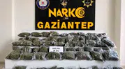 Polis 71 ilde zehir tacirlerine ağır darbe indirdi