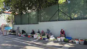 Samsun'da bamya fiyatı boyuta göre değişiyor, küçüğü 250 TL