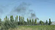 Çorum'da otluk alan yangını Bir köpek yaralandı