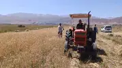 Yüksekova tarlalarında hummalı hasat dönemi başladı