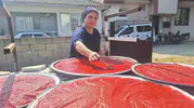 Manisa Sarıgöl’de kışlık salça mesaisi başladı