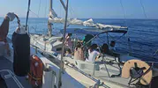 Didim açıklarında motoru arızalanan teknedeki 7 göçmen kurtarıldı