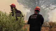 Kartal Belediyesi ekipleri Balıkesir’deki orman yangını için sahaya indi