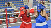 Rize'de ringler şampiyonlara doydu 59 ilden 365 boksör kıyasıya yarıştı