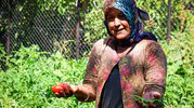 Beydağ'da 30 yıllık hasret bitti: Çiftçinin yüzü ilk kez bu kadar gülüyor