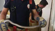 Antakya’da evlere giren yılanlar mahalleliyi tedirgin etti