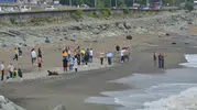 Rize'de iki kardeşi deniz dalgası ayırdı Biri öldü, diğeri aranıyor