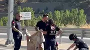 Kahramanmaraş yolunda feci kaza 1 can kaybı