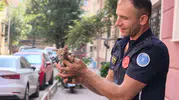 İnegöl'de boruya sıkışan yavru kedi ekipleri harekete geçirdi