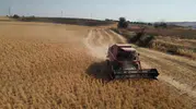 Tekirdağ tarlalarında verimi artıracak nohut hasadı başladı