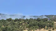 Seydişehir ormanlarında yükselen dumanlar alarm verdi