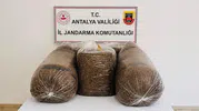 Jandarma iki ilçede kaçak tütün avına çıktı, 365 kilo ele geçti