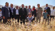 Buğday hasadında kaymakam da tarladaydı