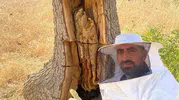 Lice dağlarında doğal bal avı
