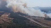 Bayramiç ormanlarında alevlerle büyük mücadele