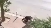 Konya’da sokak ortasında cinayet kamerada