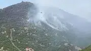 Karakoçan'daki orman yangını kontrol altına alındı
