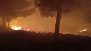 Kurtalan'da mezarlık yangını kısa sürede söndürüldü