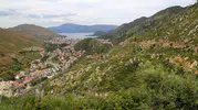 Muğla ormanları beş yıl sonra yeniden yeşillendi