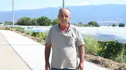 Sarıgöl'de hasat mesaisi başladı, 6 kilometrelik köy yolu yenileniyor