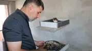Diyarbakır'ın güvercin oteli yangın küllerinden yeniden doğdu