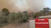 Aydın’daki orman yangınında itfaiyeden can dostuna hayat eli