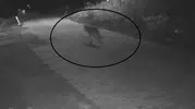 Sivaslı kadının gece çöp macerası kabusa döndü