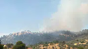 Aydın Çine’de ormanlık alanda yangın paniği