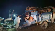 Antakya ormanlarını talan edenlere suçüstü yapıldı
