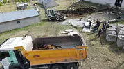 Erzincan'da kabus dolu gece: Ağıla giren ayı 144 hayvanı telef etti