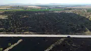 Rüzgar alevleri büyüttü, Konya'da 150 dönüm ormanlık alan yandı