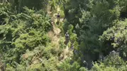 Samandağ kırsalında dev kenevir operasyonu