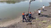 Kura Nehri'nde balçığa saplanan atı AFAD vinçle kurtardı