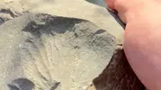 İznik Gölü sahilinde milyonlarca yıllık deniz canlısı izi bulundu